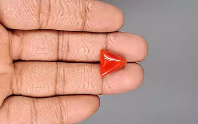 Red Coral (Moonga) - 7.52 Carats