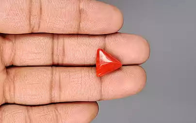 Red Coral - 6.48 Carats (Moonga - 7.06 Ratti)
