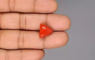 Red Coral (Moonga) - 8.36 Carats