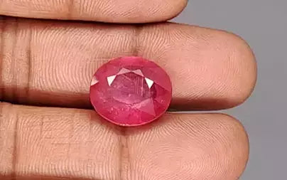 Ruby - 14.24 Carats (Manik - 15.52 Ratti)