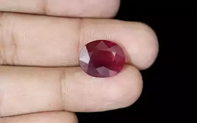 Ruby - 8.29 Carats (Manik - 9.04 Ratti)