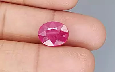 Ruby - 8.04 Carats (Manik - 8.76 Ratti)