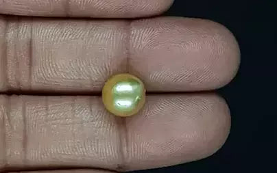 South Sea Pearl - 5.81 Carats (Moti - 6.33 Ratti)