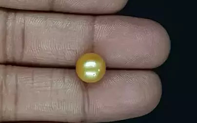 South Sea Pearl - 5.42 Carats (Moti - 5.91 Ratti)
