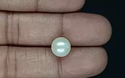 South Sea Pearl (Moti) - 5.75 Carats