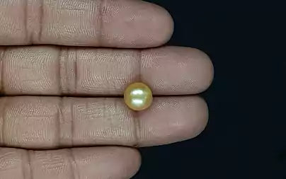 South Sea Pearl - 5.50 Carats (Moti - 6.00 Ratti)