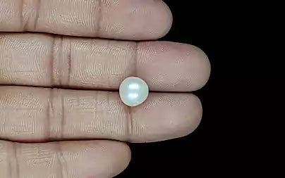 South Sea Pearl (Moti) - 5.46 Carats