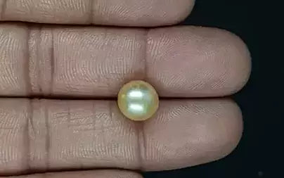 South Sea Pearl - 5.39 Carats (Moti - 5.88 Ratti)