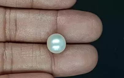 South Sea Pearl (Moti) - 6.81 Carats