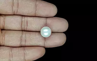 South Sea Pearl - 10.91 Carats (Moti - 11.89 Ratti)