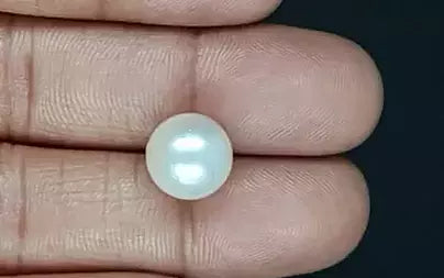 South Sea Pearl - 9.39 Carats (Moti - 10.24 Ratti)