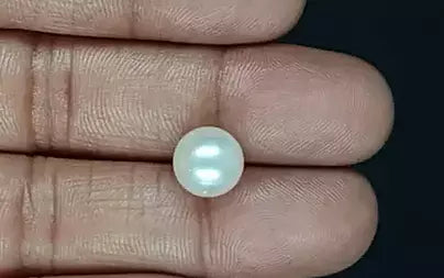 South Sea Pearl - 6.61 Carats (Moti - 7.20 Ratti)