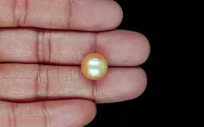 South Sea Pearl - 11.54 Carats (Moti - 12.58 Ratti)