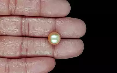 South Sea Pearl - 6.75 Carats (Moti - 7.36 Ratti)
