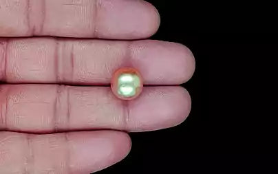 South Sea Pearl - 11.58 Carats (Moti - 12.62 Ratti)
