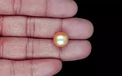 South Sea Pearl - 10.10 Carats (Moti - 11.01 Ratti)