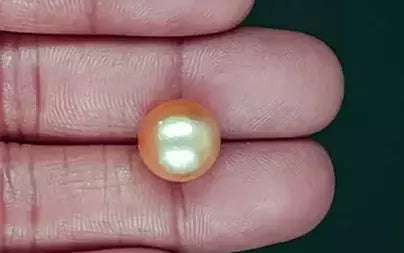 South Sea Pearl - 11.96 Carats (Moti - 13.04 Ratti)
