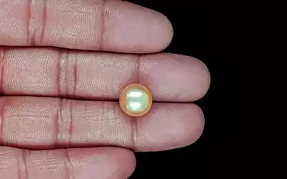 South Sea Pearl - 9.14 Carats (Moti - 9.96 Ratti)
