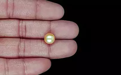 South Sea Pearl - 5.41 Carats (Moti - 5.90 Ratti)