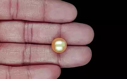 South Sea Pearl - 9.21 Carats (Moti - 10.04 Ratti)