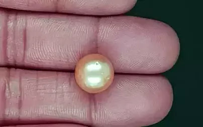 South Sea Pearl - 10.25 Carats (Moti - 11.17 Ratti)