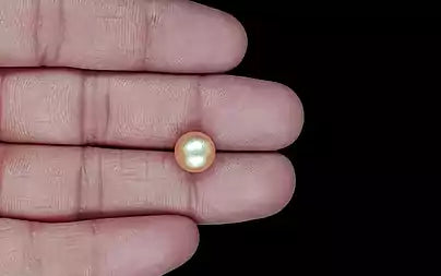 South Sea Pearl - 5.64 Carats (Moti - 6.15 Ratti)