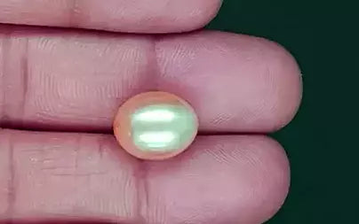 South Sea Pearl - 11.03 Carats (Moti - 12.02 Ratti)