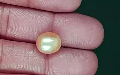 South Sea Pearl - 8.03 Carats (Moti - 8.75 Ratti)