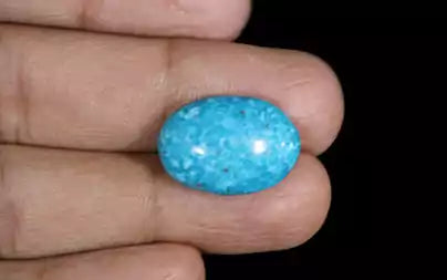 Turquoise - 11.40 Carats ( Firoza - 12.43 Ratti )