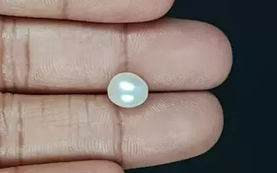 Venezuela Pearl - 3.53 Carats (Moti - 3.85 Ratti)