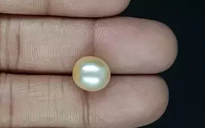 Venezuela Pearl - 7.4 Carats (Moti - 8.07 Ratti)