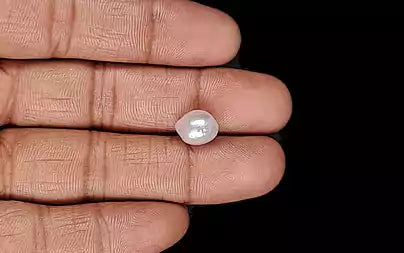 Venezuela Pearl - 5.02 Carats (Moti - 5.47 Ratti)