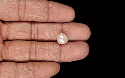Venezuela Pearl - 5.31 Carats (Moti - 5.79 Ratti)