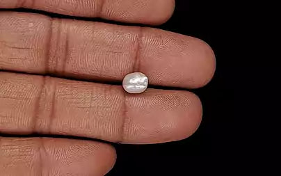 Venezuela Pearl - 1.73 Carats (Moti - 1.89 Ratti)