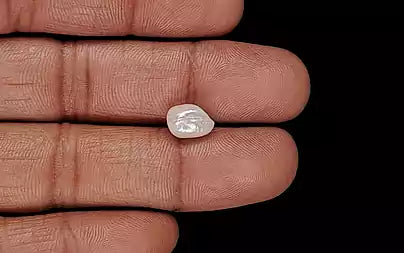 Venezuela Pearl - 2.89 Carats (Moti - 3.15 Ratti)