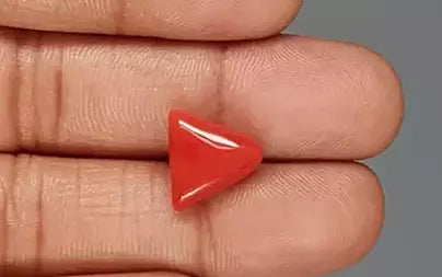 Red Coral - 5.85 Carats (Moonga - 6.38 Ratti)