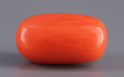Red Coral - 8.11 Carats (Moonga - 8.84 Ratti)