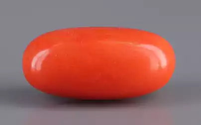 Red Coral - 4.54 Carats (Moonga - 4.95 Ratti)