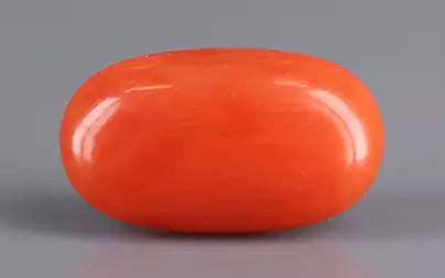 Red Coral - 3.68 Carats (Moonga - 4.01 Ratti)