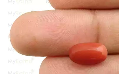 Red Coral - 4.01 Carats (Moonga - 4.37 Ratti)