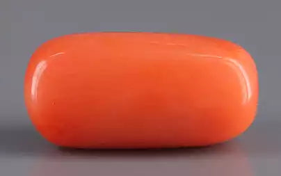 Red Coral - 10.07 Carats (Moonga - 10.98 Ratti)