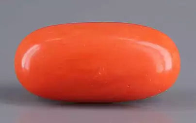 Red Coral - 6.52 Carats (Moonga - 7.11 Ratti)
