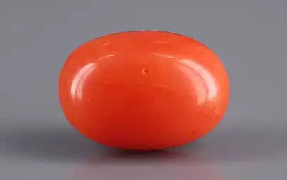 Red Coral - 3.89 Carats (Moonga - 4.24 Ratti)