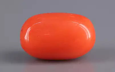 Red Coral - 4.93 Carats (Moonga - 5.37 Ratti)