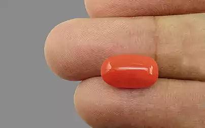 Red Coral - 4.88 Carats (Moonga - 5.32 Ratti)