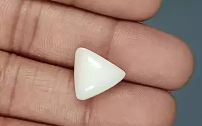 White Coral - 9.88 Carats