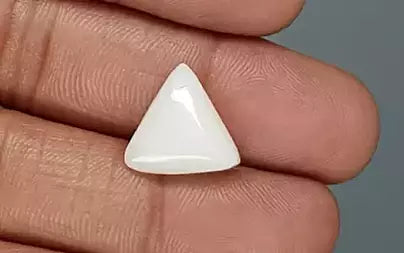 White Coral - 7.53 Carats