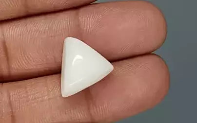 White Coral - 16.46 Carats