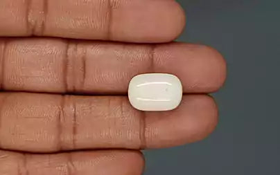 White Coral - 15.25 Carats