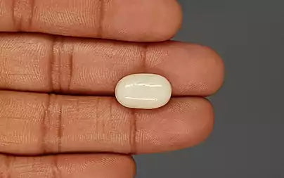 White Coral - 8.09 Carats